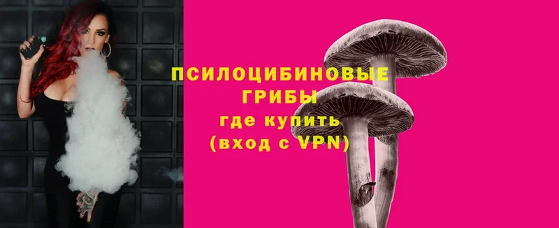 Псилоцибиновые грибы MAGIC MUSHROOMS  купить закладку  Великие Луки 